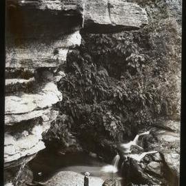Fern Grotto, Leura, Blue Mountains, NSW