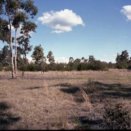 Rehabilitated Mine Sites, October 1979 - Caledon Opencut - Abermain No. 1 Colliery - Caledon Opencut, North & South Sides - Aberdare Central - Cessnock, NSW