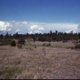Rehabilitated Mine Sites, October 1979 - Caledon Opencut - Abermain No.1 Colliery - Caledon Opencut, North & South Sides - Aberdare Central - Cessnock, NSW