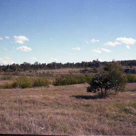 Rehabilitated Mine Sites, October 1979 - Caledon Opencut - Abermain No.1 Colliery - Caledon Opencut, North & South Sides - Aberdare Central - Cessnock, NSW