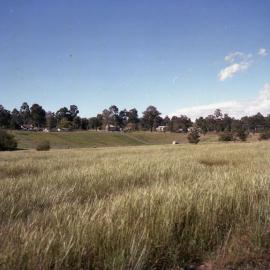 Rehabilitated Mine Sites, October 1979 - Caledon Opencut - Abermain No.1 Colliery - Caledon Opencut, North & South Sides - Aberdare Central - Cessnock, NSW