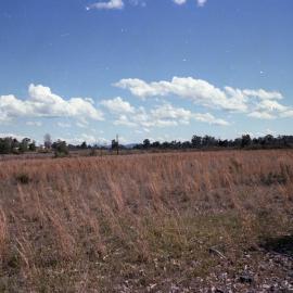 Rehabilitated Mine Sites, October 1979 - Caledon Opencut - Abermain No.1 Colliery - Caledon Opencut, North & South Sides - Aberdare Central - Cessnock, NSW
