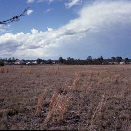 Rehabilitated Mine Sites, October 1979 - Caledon Opencut - Abermain No.1 Colliery - Caledon Opencut, North & South Sides - Aberdare Central - Cessnock, NSW