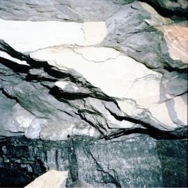 Roof strata, top seam, Liddell Colliery, NSW, 10 February 1978