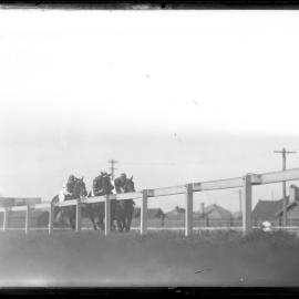 Horse racing, Newcastle Racecourse, 15 July 1937