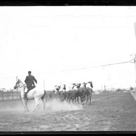 Horse racing, Newcastle Racecourse, 15 July 1937