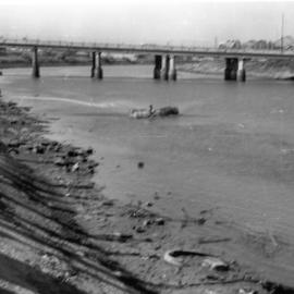 P3005-23 - Throsby Creek Regatta, Tighes Hill, NSW, Australia - circa 1960