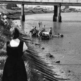 P3005-6 - Throsby Creek Regatta, Tighes Hill, NSW, Australia - circa 1960