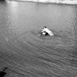 P3005-3 - Throsby Creek Regatta, Tighes Hill, NSW, Australia - circa 1960