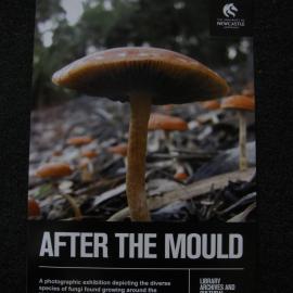 Fungal Friends Poster, Open Day, Callaghan Campux, 2010