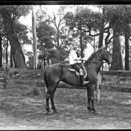 Boy on a horse [at Hunter P Brett's residence, Russell Road, New Lambton, NSW 1908]