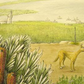 Dingo - Artwork by Susan Sparks - Sir Thomas Mitchell Project - Newcastle 1828