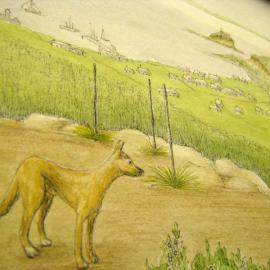 Dingo - Artwork by Susan Sparks - Sir Thomas Mitchell Project - Newcastle 1828