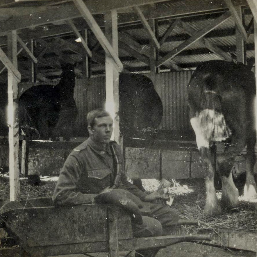 William Dalton