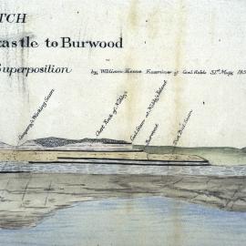 William Keene - Nobby's Island Newcastle to Burwood (1854) - Detail 5 - Various Newcastle Coal Seams