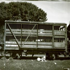 SAR, Sheep Wagons No. SFn8087 & Sfn8090, Naracoorte, [1950s]