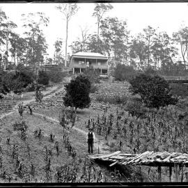 Joseph Longworth's house and garden, Cardiff, NSW, 18 January 1899