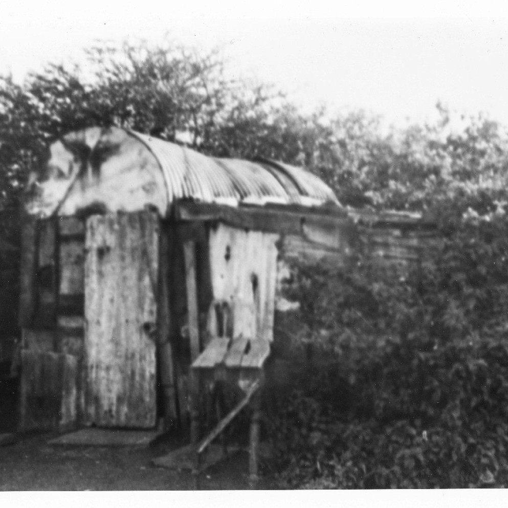 Shack, "Texas" Carrington, NSW, 1938