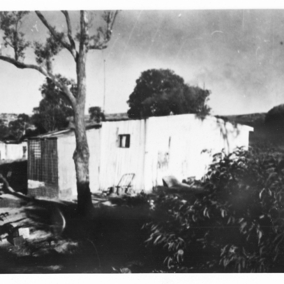 Buildings, Platt's Estate, Newcastle, NSW, 1938