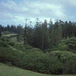 View from arcaded Barracks, Norfolk Island, [1980s]