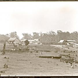 Michael McNamara's farm, Cardiff, NSW, 16 January, 1899