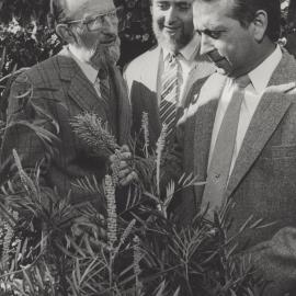 Don Morris (University Planner), Professor Ron Laura (Education) with an unidentified man, the University of Newcastle, Australia