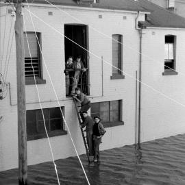 Maitland Flood, 1955: Lucey Collection