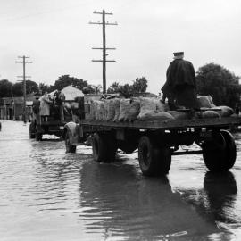 Maitland Flood, 1955: Lucey Collection
