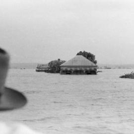 Flooded farm during the Maitland Flood, 1955: Lucey Collection