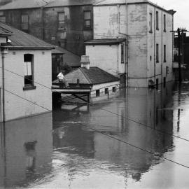 Flooded street during the Maitland Flood, 1955: Lucey Collection