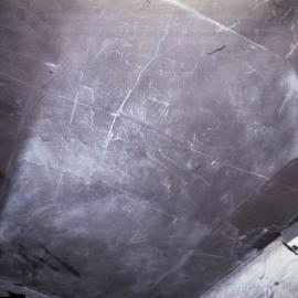 Prehistoric footprints in roof of Wallarah Colliery, Catherine Hill Bay, NSW, May 1979
