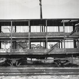 SAR Sheep van No. Mm.5634 at Naracoorte, S.A.
