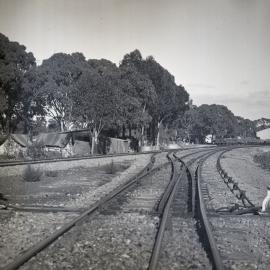 SAR Hynam railway yard of Mount Gambier Line, [1951]