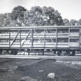 SAR, Bogie Sheep Van No. SN8189, Millicent, [1950s]
