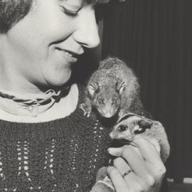 Robyn Gentle with ringtail possum and squirrel glider, Newcastle, Australia