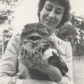 Robyn Gentle with tawny frogmouth owl at the University of Newcastle, Australia
