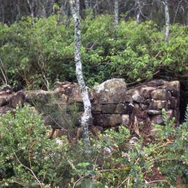 Lime kiln, Port Stephens, NSW, [1978]