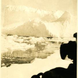 Icebergs among the pack ice