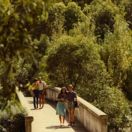 Architecture Bridge, [c. 1986]
