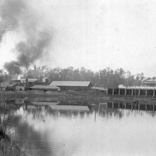 Dorothy Morgan née Ingall - Millfield resident. Recorded 18 July 1983. Part 1/4