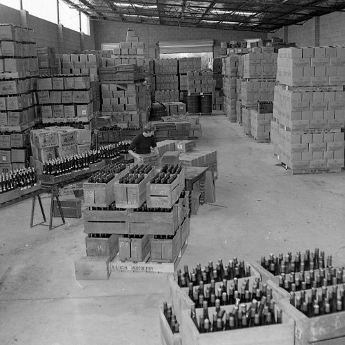 Fred Drayton (1886-1983) - wine maker. Recorded 11 April 1978. Part 1/1