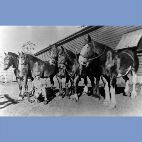 George Robinson (1898-1988) - Mine worker and insurance agent. Part 2 of 2.