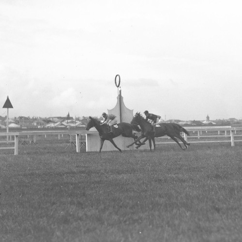 Bill Thompson (1904-1986) - Bookmaker, Cessnock. Recorded 25 July 1980. Part 2/2.