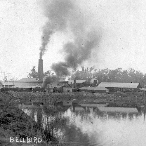 Aub Vernon (1918-1996) - Clipper & wheeler, Bellbird. Recorded 24 Aug 1983. Part 2/3