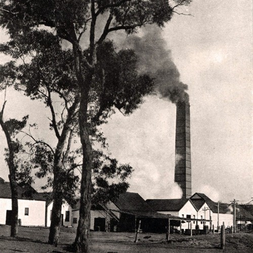 Dick Gibson - Mining family. Recorded 8 April 1984. Part 2/2.
