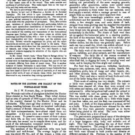 Notes on the Customs and Dialect of the Wonnah-Ruah Tribe
