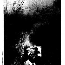 Van Gogh's Ear, No. 5, July, 1993