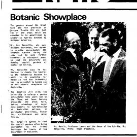 The University News, Vol. 10, No. 11, July 6-20, 1984