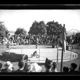 Animal display involving a Macaque (?) riding a bicycle, Taronga Zoo, Sydney [April 1938]