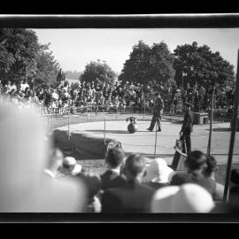 Animal display involving a Macaque (?), Taronga Zoo, Sydney [April 1938]